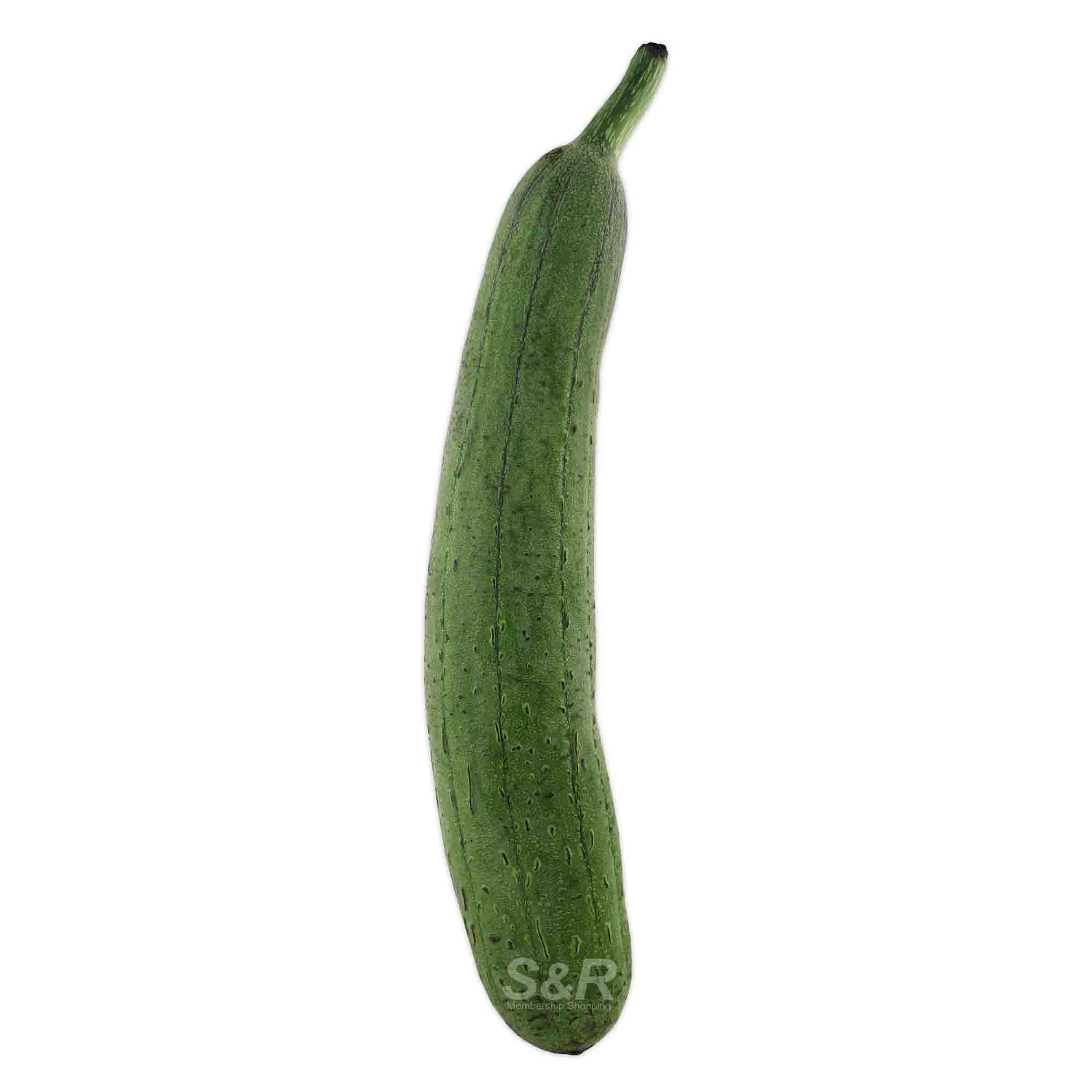S&R Patola approx. 700g S&R Patola approx. 700g